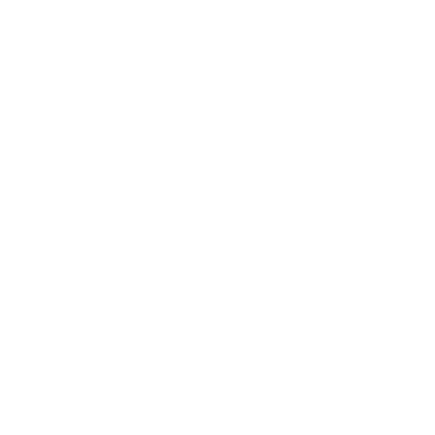 Streamline Discs